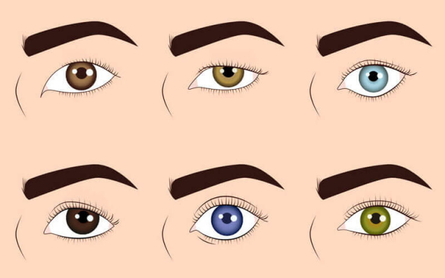 Как подобрать макияж по форме глаз: полезные советы